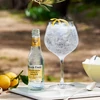 Kép 2/2 - Fever Tree Premium Indian Tonic Water 200ml